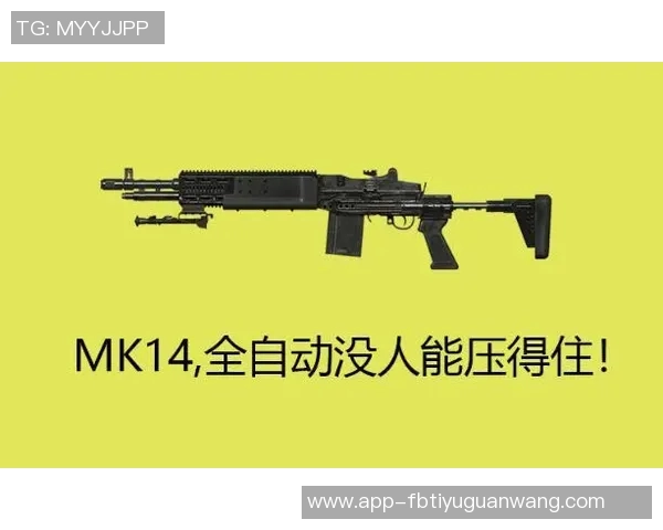 世界杯新闻和平精英评论:深入分析BLG战队的防守反击策略及其成败得失 世界杯新闻和平精英评论:深入分析BLG战队的防守反击策略及其成败得失